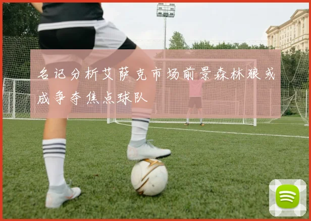 名记分析艾萨克市场前景森林狼或成争夺焦点球队
